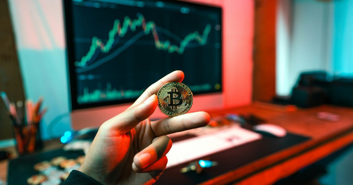 Trader Analyzing Data