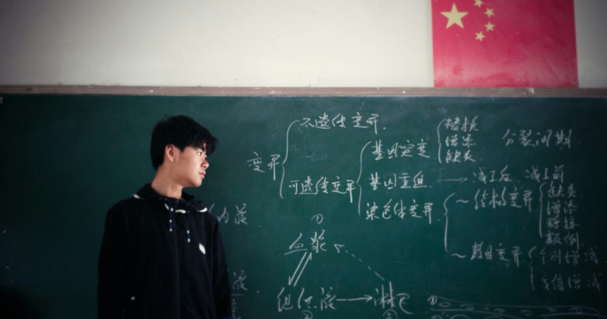 Education in Trading