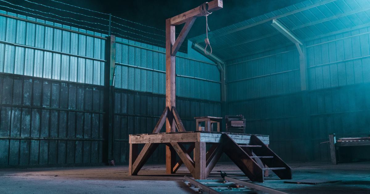 Exploring Cutting-Edge Trade Execution Algorithms