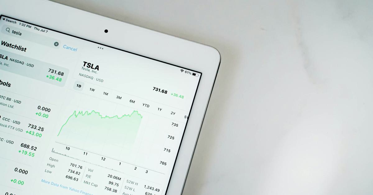 Investor Reviewing Data
