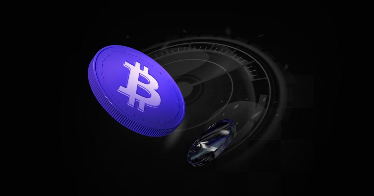 User verifying crypto transaction