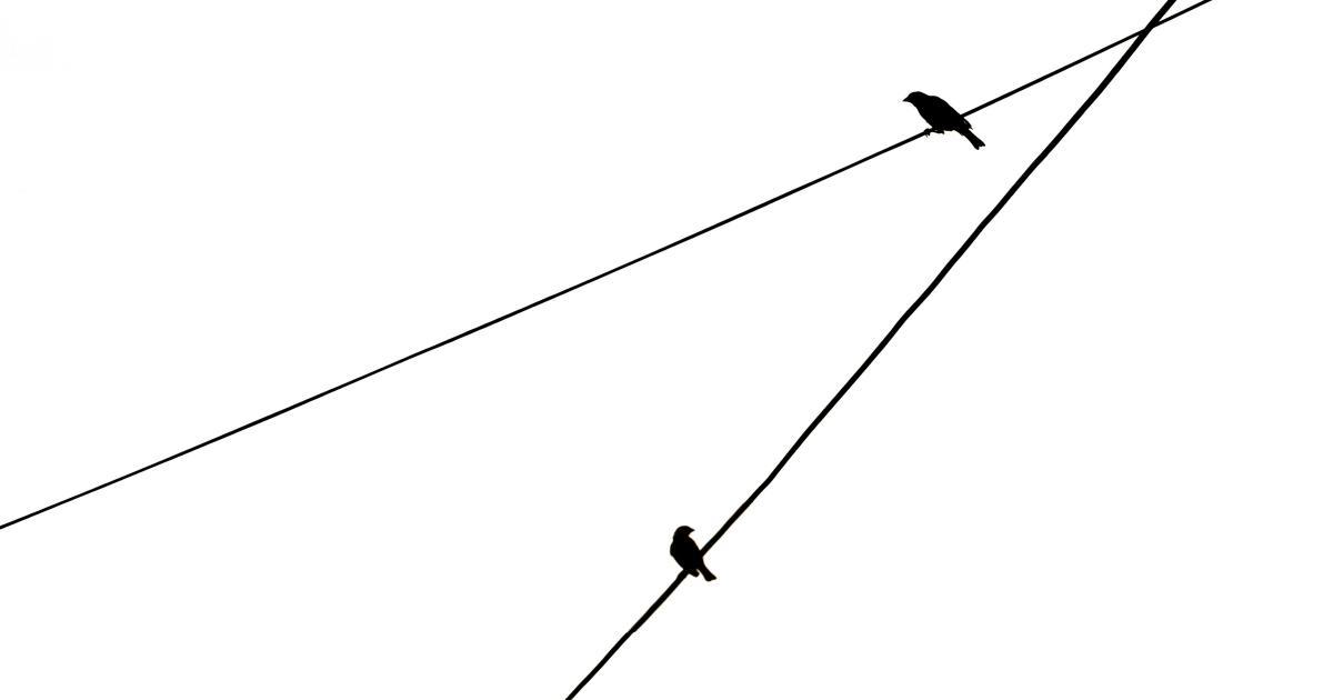 Trailing Stop Chart